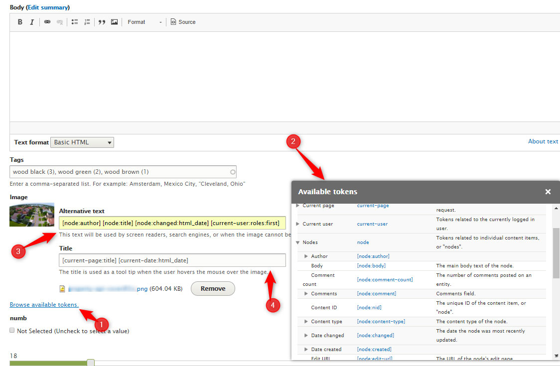 Google search ranking and visibility for Drupal websites using Image Field Token module